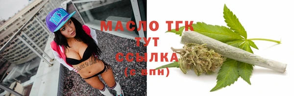 прущий лед Абаза