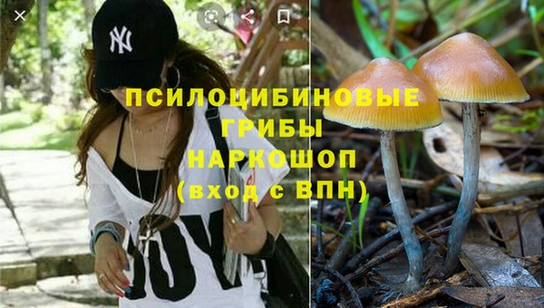герыч Абинск