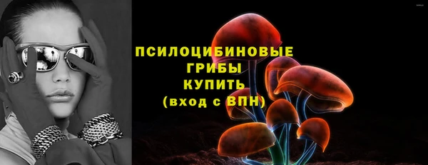прущий лед Абаза
